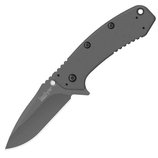 Kershaw 1555TI Cryo Assisted, Titanium Coated Knife