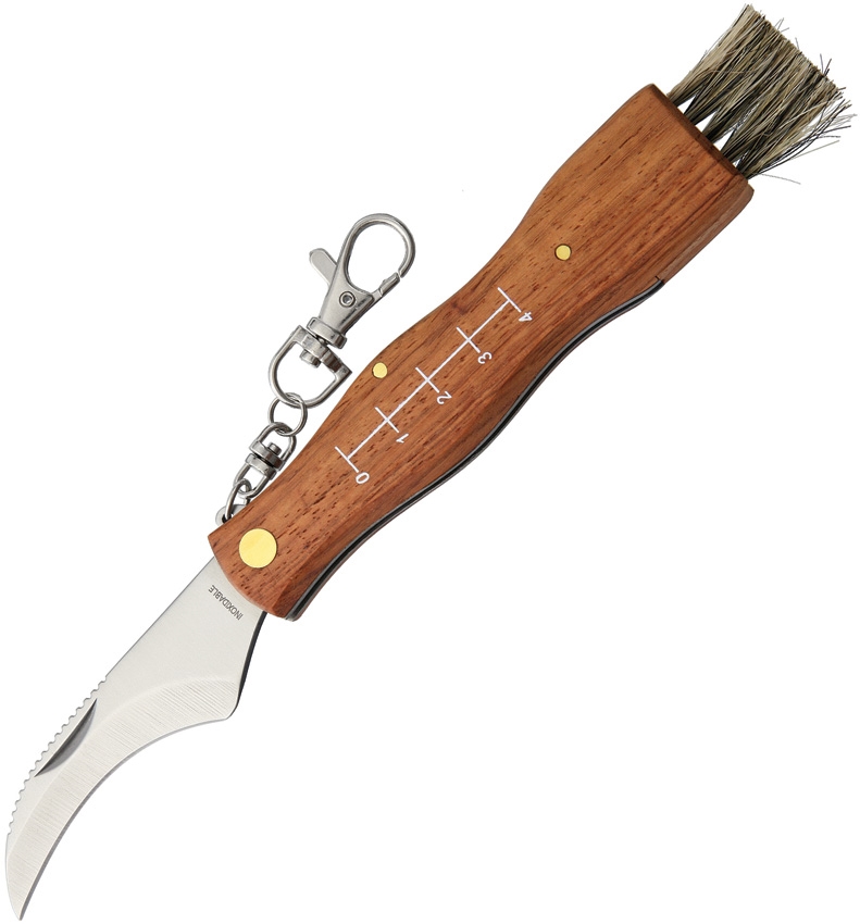 MAM MAM2590 Mushroom Knife